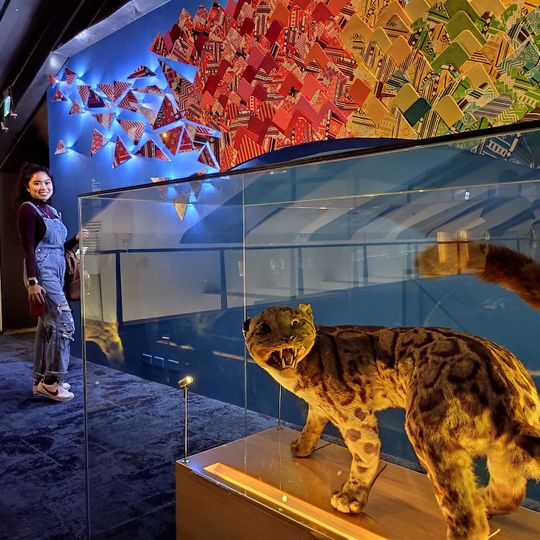 National Taiwan Museum