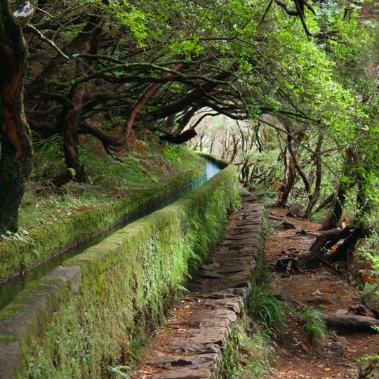 Levada das 25 Fontes