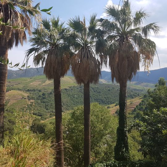 Jardí mediterrani del Mas de la Serra