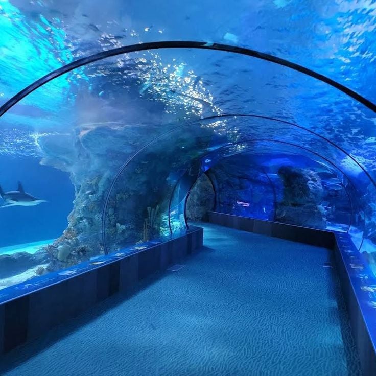 Omaha’s Henry Doorly Zoo and Aquarium