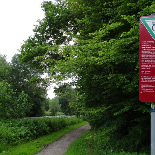 Mastberg und Innersteaue