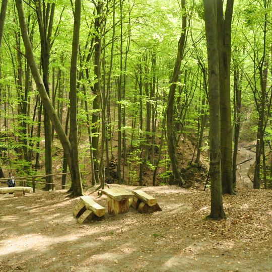 Parco nazionale di Javorov