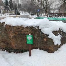 Erratic stone Kamienny Potok
