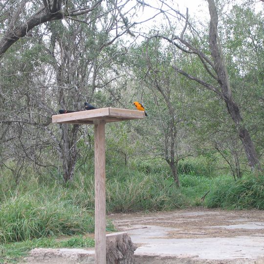Bentsen-Rio Grande Valley State Park