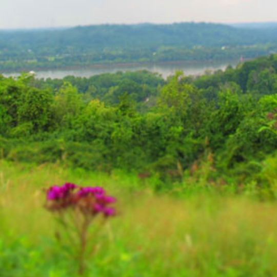 Woodland Mound Water Park