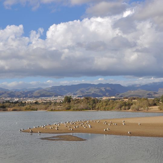Charca de Maspalomas