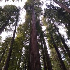 Van Duzen County Park