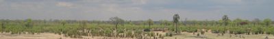 Panoramic View 1