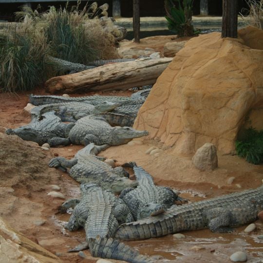La Ferme aux crocodiles