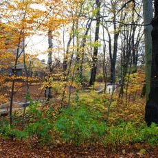 Haffner Park in Sopot