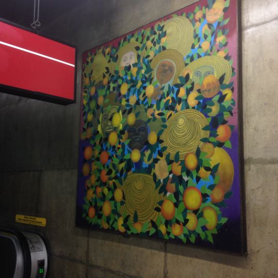 Traços das Populações Brasileiras