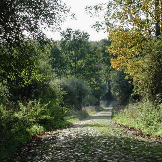 Schorfheide