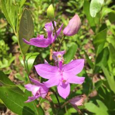 New Jersey Pinelands National Reserve