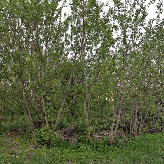 Дом для рабочих деревянный