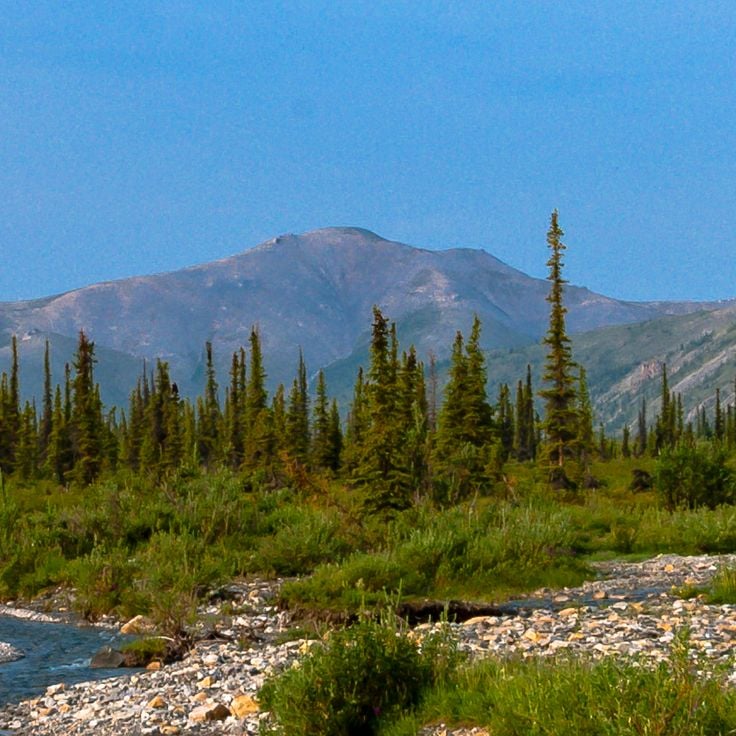Ivvavik nasjonalpark