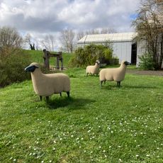 Les Moutons