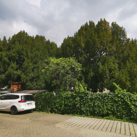 Eiben Tolkewitzer Straße 30