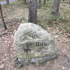 Pamatnik Dzik 5 Cetnarów