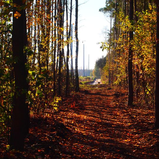 Źródła Olechówki – park in Łódź
