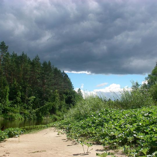 Zapovednik Bolsjaja Koksjaga