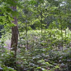 Grafheuvel, alsmede een zone