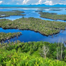 Parco nazionale di Danau Sentarum