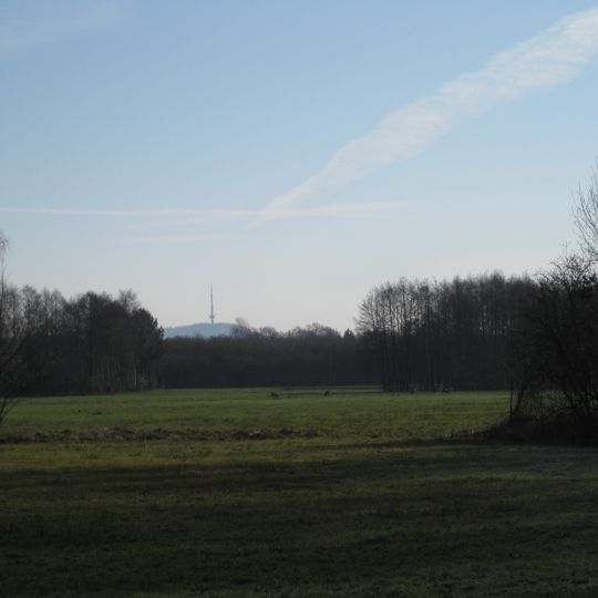 Feuchtwiesen In den Wösten