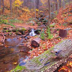 Gallitzin State Forest