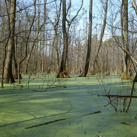 Großer und Kleiner Rohrpfuhl
