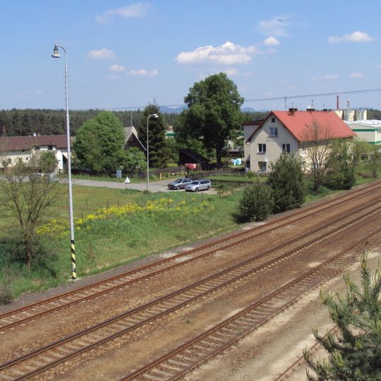 Srní u České Lípy