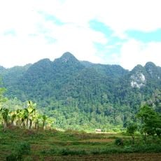 Xuan Son National Park