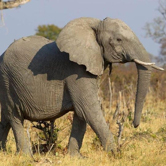 Parco nazionale di Magoe