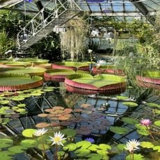 Botanischer Garten St. Petersburg