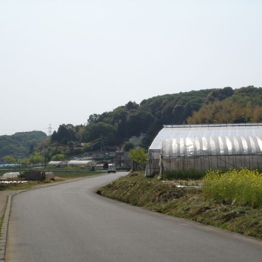 Tama Hills