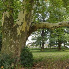 Palace park in Sułów