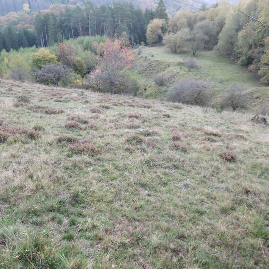 An der Rösenbecker Burg