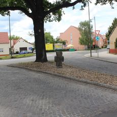 Naturdenkmal Stieleiche (Quercus robur) Ecke Wilhelm-Pieck-Straße – Mückenberger Straße in Lauchhammer