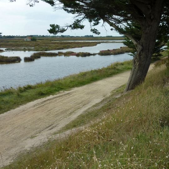 Polder De Sébastopol