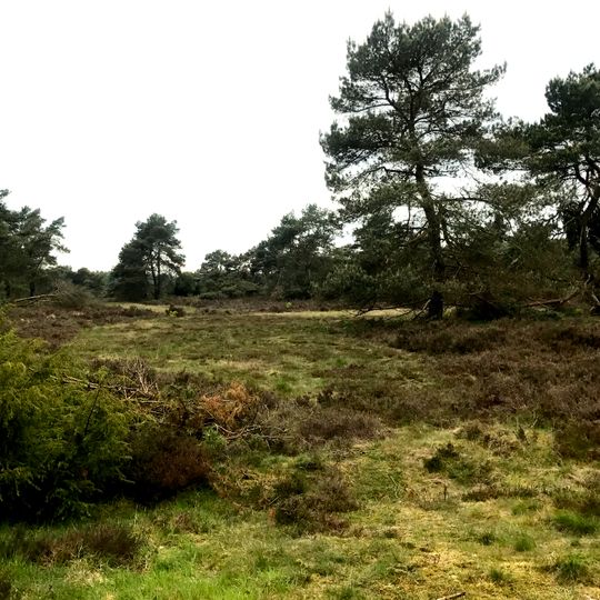 Itterbecker Heide