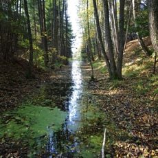 Alioniai Telmological Reserve
