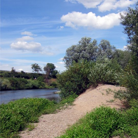Unterer Neckar: Altneckar Wörth-Weidenstücker