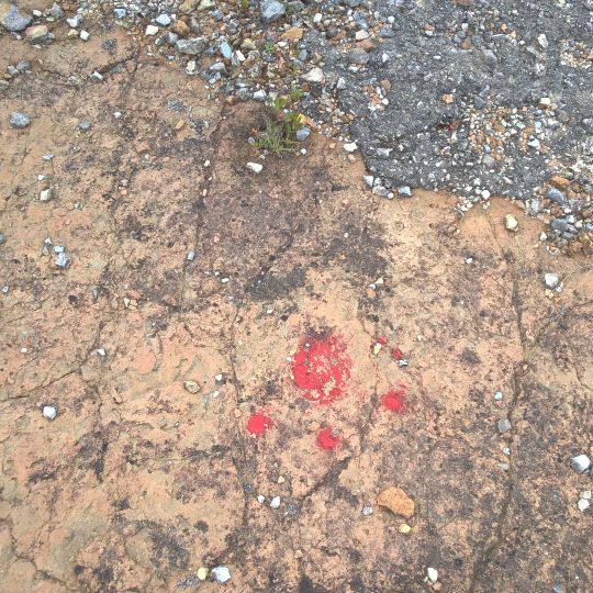 Monumento Natural de Carenque