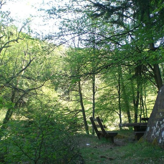 Ritterstein 263 "Forstmeister Emil Haupt"