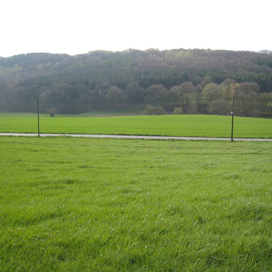 Fürstenbergholz und Wannebachtal