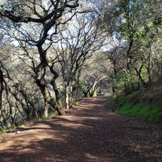 Leona Canyon Regional Open Space Preserve