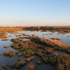 Réserve naturelle nationale des marais de Séné