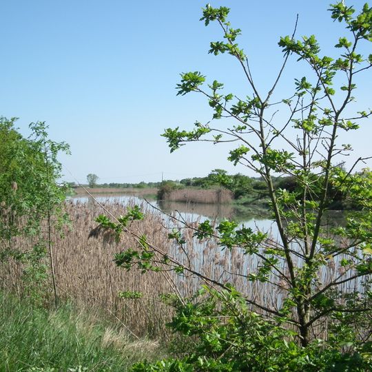 Marais de la Seudre