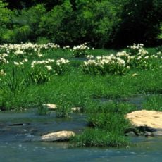 Cahaba River National Wildlife Refuge