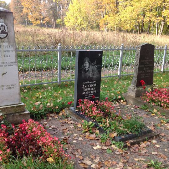 Братская могила советских воинов, погибших в борьбе с фашистами, в их числе Герой Советского Союза летчик Г.Г. Петров