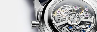 Zenith Profile Cover